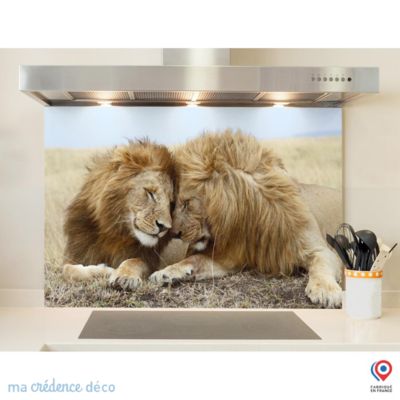 Crédence cuisine fond de hotte Lions-et- Lamour x H Verre trempé - MaCrédenceDéco