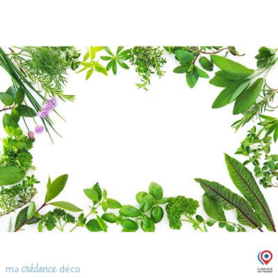 Crédence cuisine fond de hotte Plantes avec encadrement - Verre trempé - L 70 cm x H 60 cm - MaCrédenceDéco
