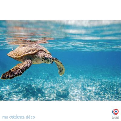 Crédence cuisine fond de hotte Tortue marine aux Seychelles - Verre trempé - L 90 cm x H 70 cm - MaCrédenceDéco