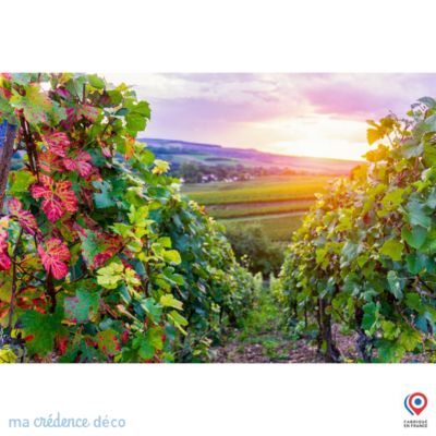 Crédence cuisine fond de hotte Vignobles - Verre trempé - L 90 cm x H 70 cm - MaCrédenceDéco