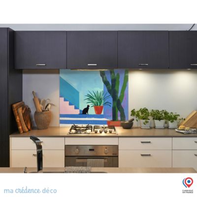 Crédence cuisine fond de hotteChat, cactus et couleurs, Peinture - Verre trempé - L 90 cm x H 50 cm - MaCrédenceDéco