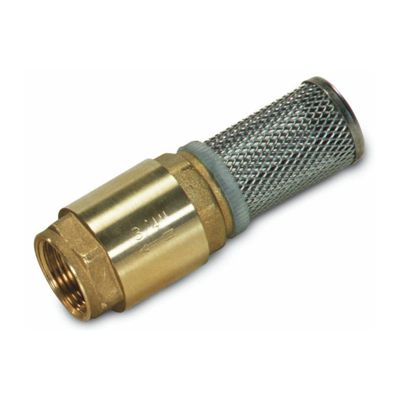 Crépine de fond inox G 3/4' avec clapet anti-retour