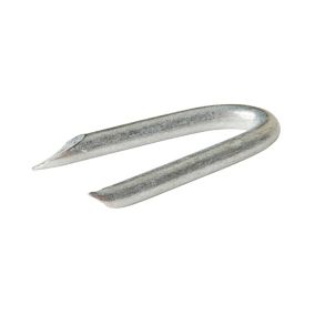 Crampillons en acier galvanisé 2,7x25 - 125g