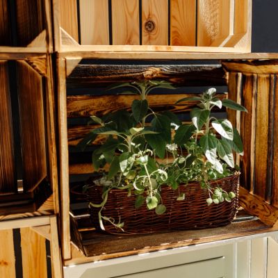 Creative Deco Caisse en Bois Flammé 40 x 30 x 15 cm - Caisse Rangement Bois Vintage - Cagette Bois Deco - Boite Decoration