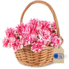 Creative Home Petit Panier de Pâques en Osier 22 x 22 x 26 cm - Tissé à la Main, Panier avec Anse, Cadeau, Fruits, Marron Naturel