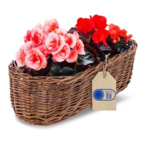 Creative Home Pot de Fleurs en Osier Foncé 35 x 11 x 11 cm - Tissé à la Main, Cache-Pot Ovale avec Protection Plastique Intérieure