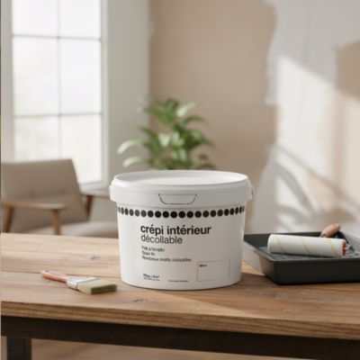 Crépi intérieur décollable blanc mat 15kg