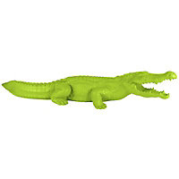 Crocodile medium vert