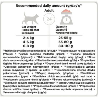 Croquettes pour chat Pro Plan Sterilised Adult Optirenal riche en saumon et riz 10kg