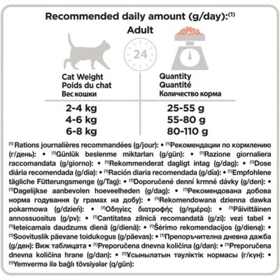 Croquettes pour chat Pro Plan Sterilised Adult Optirenal riche en saumon et riz 10kg