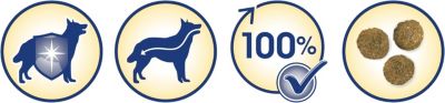 Croquettes pour chien adulte Dog Chow complet/classic au poulet 14kg