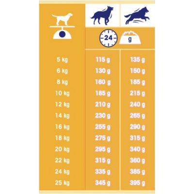 Croquettes pour chien adulte Dog Chow complet/classic au poulet 14kg