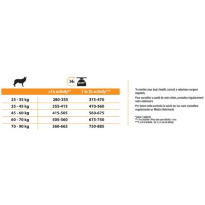 Croquettes pour chien Pro Plan Large Athletic Adult riche en poulet et riz 14kg