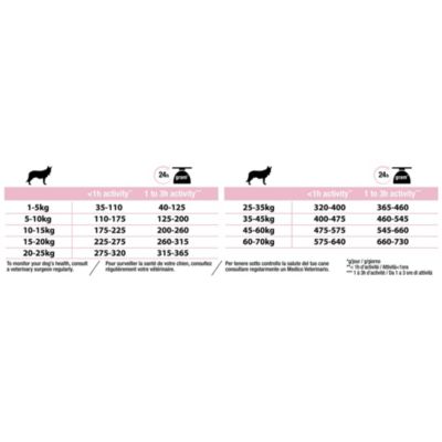 Croquettes pour chien Pro Plan Medium Adult Sensitive Skin riche en saumon et riz 14kg