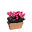 Cyclamen rose artificiel en jardiniere Slate terra 29 x 13 x h.33 cm