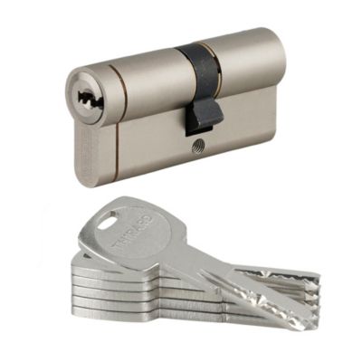 cylindre serrure avec protecteur DUAL XP2 BRICARD A2P
