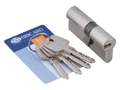 Demi Cylindre De Porte 30x10 Mm BRICARD ASTRAL 4 Clés Et Carte Barillet De Securite 3188740151132