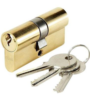 Cylindre de porte Tesa TE5 de sécurité à petit prix
