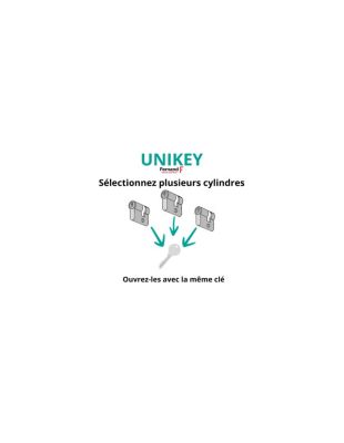Cylindre de serrure à bouton STD, UNIKEY (achetez-en plusieurs, ouvrez avec la même clé),30Bx30mm, 3 clés, nickelé - THIRARD