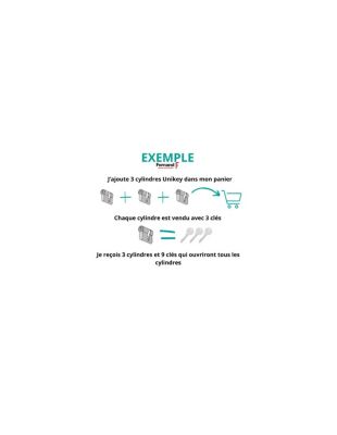 Cylindre de serrure à bouton STD, UNIKEY (achetez-en plusieurs, ouvrez avec la même clé),30Bx30mm, 3 clés, nickelé - THIRARD