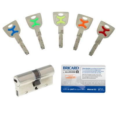 Cylindre débrayable Bricard mistral 2 entrées 30x30 mm