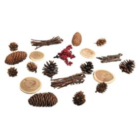 Décorations naturelles automne et Noël - 20 Cônes, bois et baies