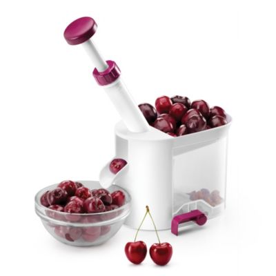Ancien denoyauteur en fer blanc d'olives -cerises OBJET DU XIX - Antiquités