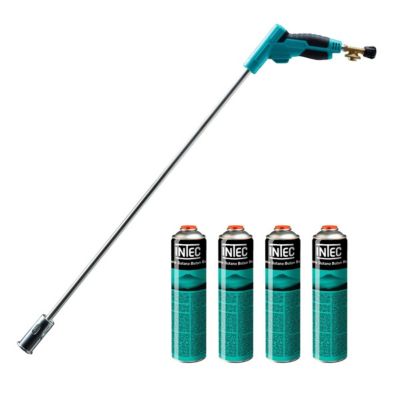 Desherbeur Thermique Castorama