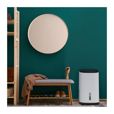 Déshumidificateur purificateur ARETE ONE 20L/j