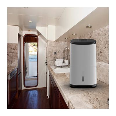 Déshumidificateur purificateur ARETE ONE 20L/j