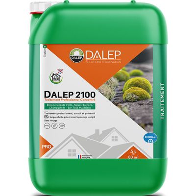 Dalep 2100 Point P
