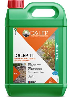 DALEP TT Traitement Toitures Terrasses Pret a l emploi