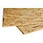 Dalle de plancher OSB 3 - Cityboard 18 mm, dim. 1690 x 634 mm