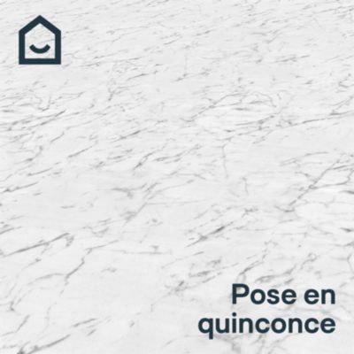 Dalle PVC clipsable Mambo 82x42 cm marbre blanc GoodHome (vendue au carton)