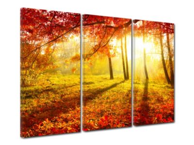 DECLINA, Tableau toile imprimée Paysage, Tableau triptyque Forêt en ...