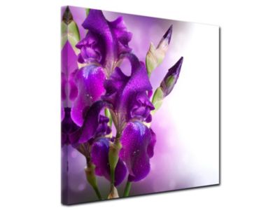 DECLINA, Tableau toile imprimée Zen, Tableau toile deco Fleurs d'Iris, 80x80 cm