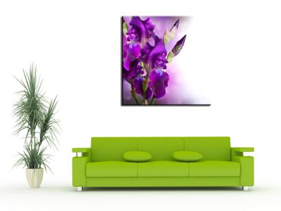 DECLINA, Tableau toile imprimée Zen, Tableau toile deco Fleurs d'Iris, 80x80 cm
