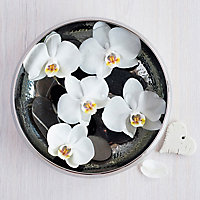 Décoration sous verre orchidée bowl 20 x 20 cm
