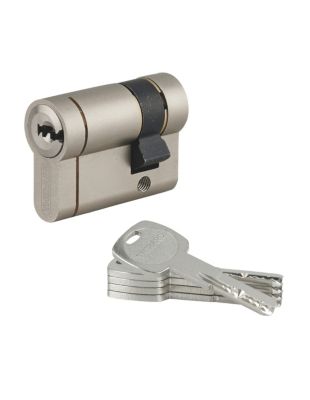 Demi cylindre de serrure Transit 1 UNIKEY (achetez-en plusieurs, ouvrez avec la même clé), 40x10mm, 5 clés, nickelé - THIRARD