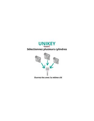Demi cylindre de serrure Transit 1 UNIKEY (achetez-en plusieurs, ouvrez avec la même clé), 40x10mm, 5 clés, nickelé - THIRARD