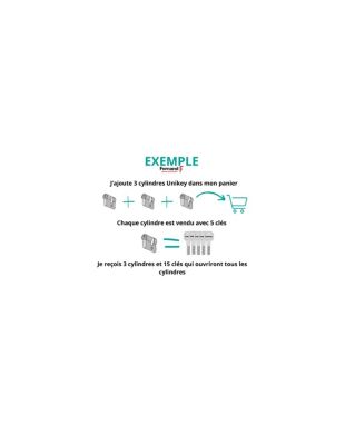 Demi cylindre de serrure Transit 1 UNIKEY (achetez-en plusieurs, ouvrez avec la même clé), 40x10mm, 5 clés, nickelé - THIRARD