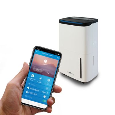 Déshumidificateur d'air à compresseur Rohan 50L/J 200m²