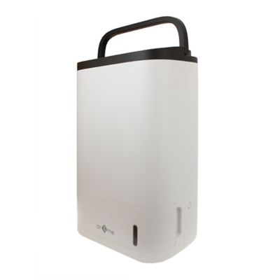 Déshumidificateur d'air par dessiccation Evel 20L/J 90m²