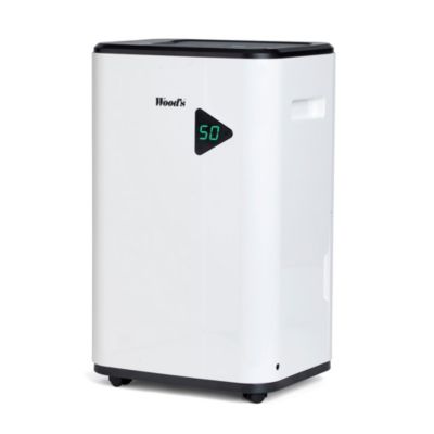 Déshumidificateur pour salon Wood's MDX20P