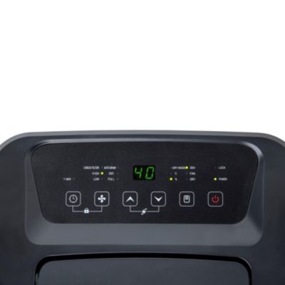 Déshumidificateur pour salon Wood's MDX20P