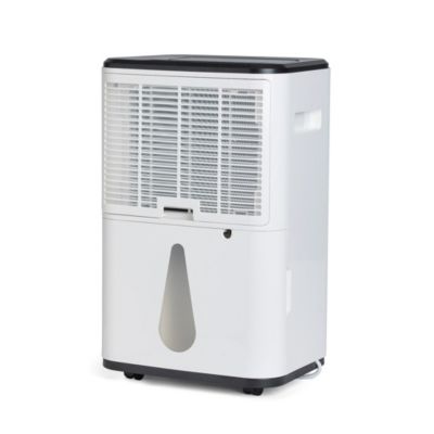 Déshumidificateur pour salon Wood's MDX20P