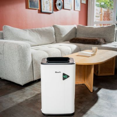 Déshumidificateur pour salon Wood's MDX20P