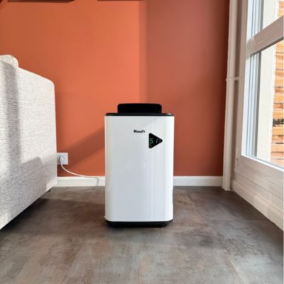 Déshumidificateur pour salon Wood's MDX20P