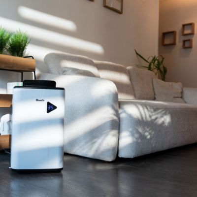 Déshumidificateur pour salon Wood's MDX20P