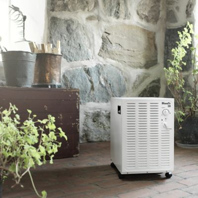 Déshumidificateur Wood's SW38FW 19L/J 140m²
